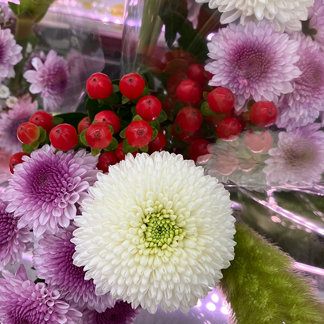 やまきの生花
