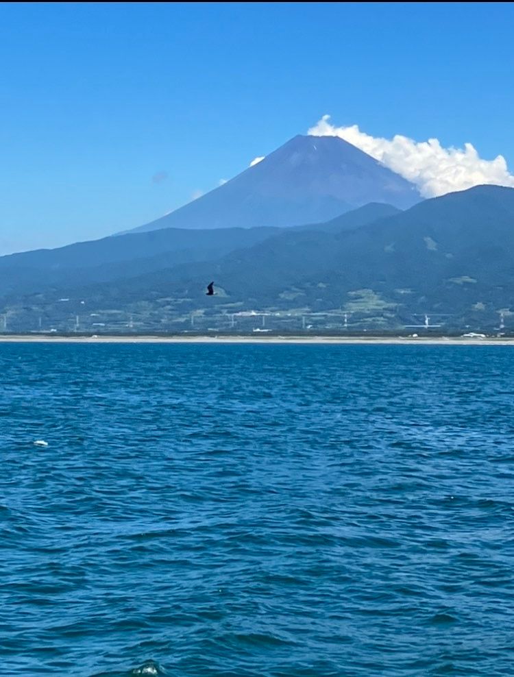 海洋散骨