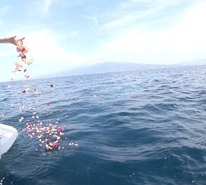 海洋散骨