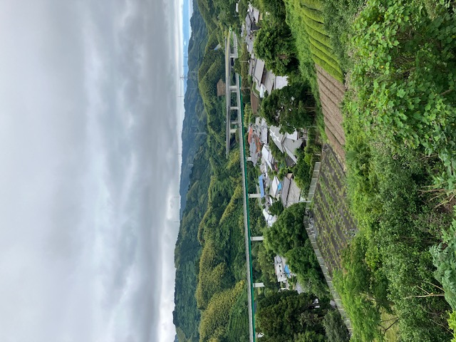 お寺からの眺望④