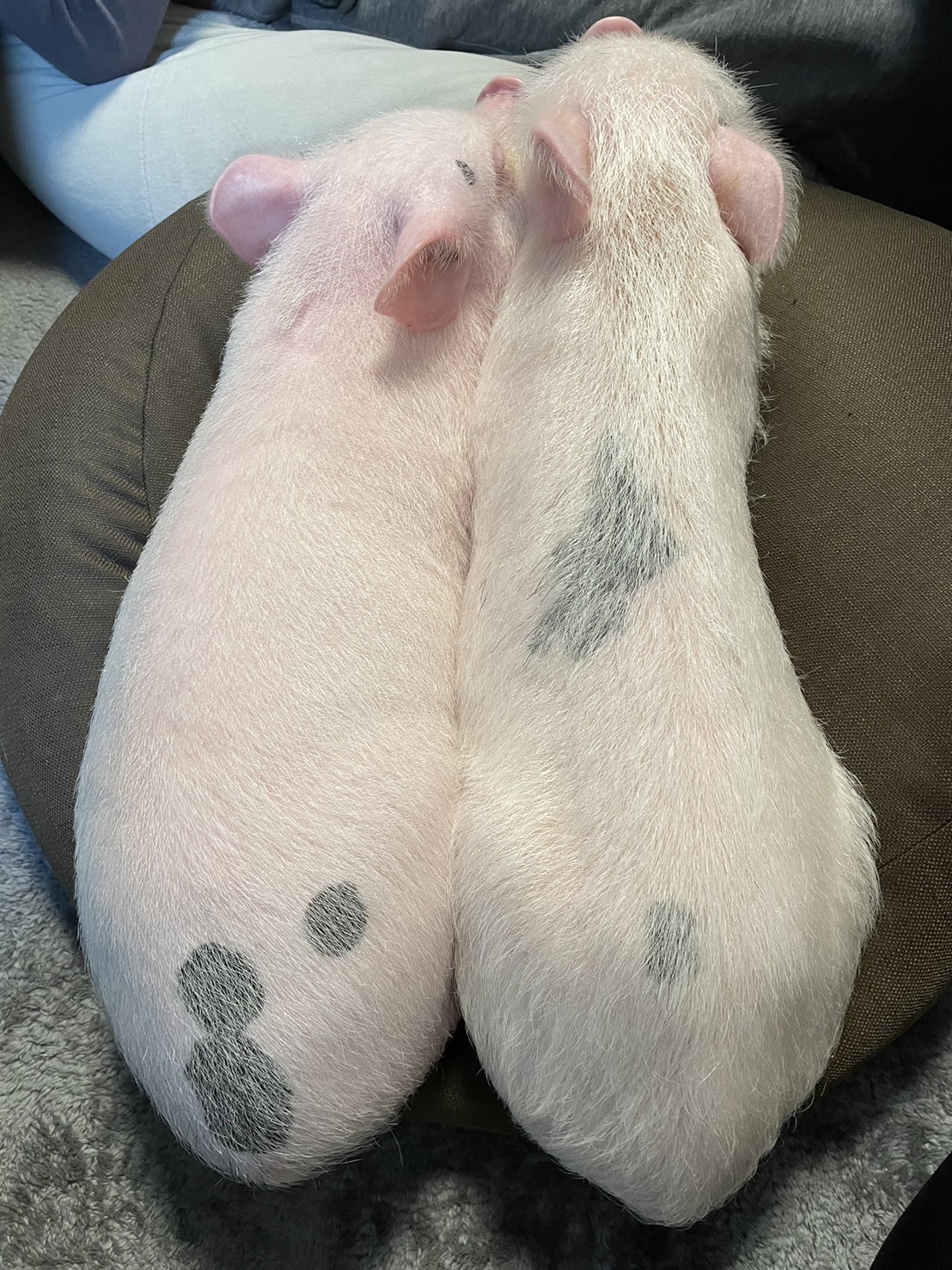 一年の締めくくり