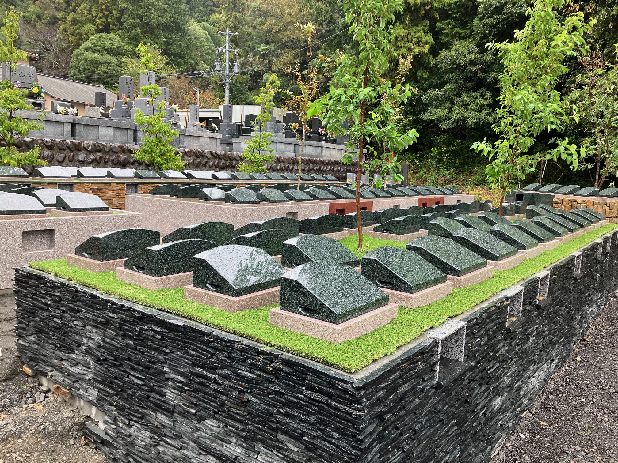 自然葬いろいろ