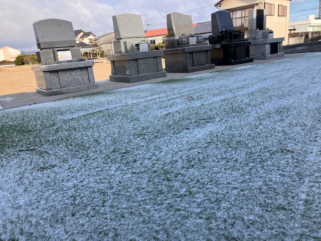 雪が降りました。