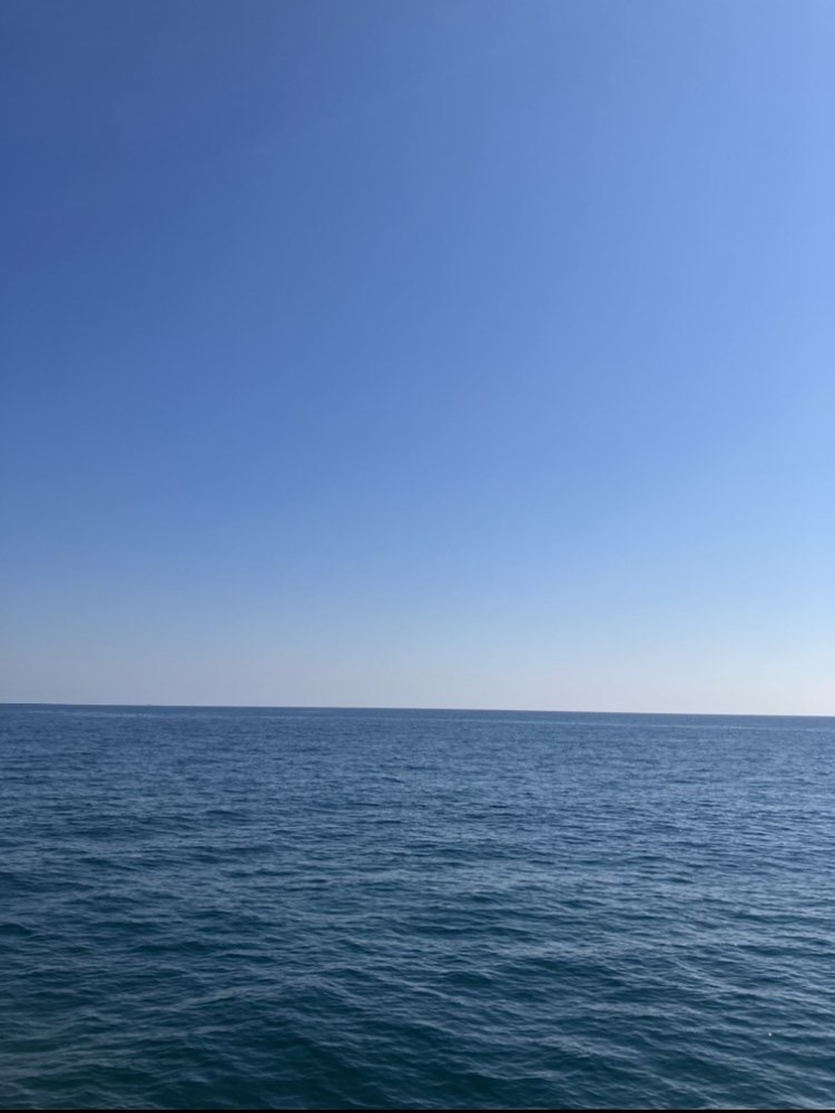 海洋散骨体験乗船