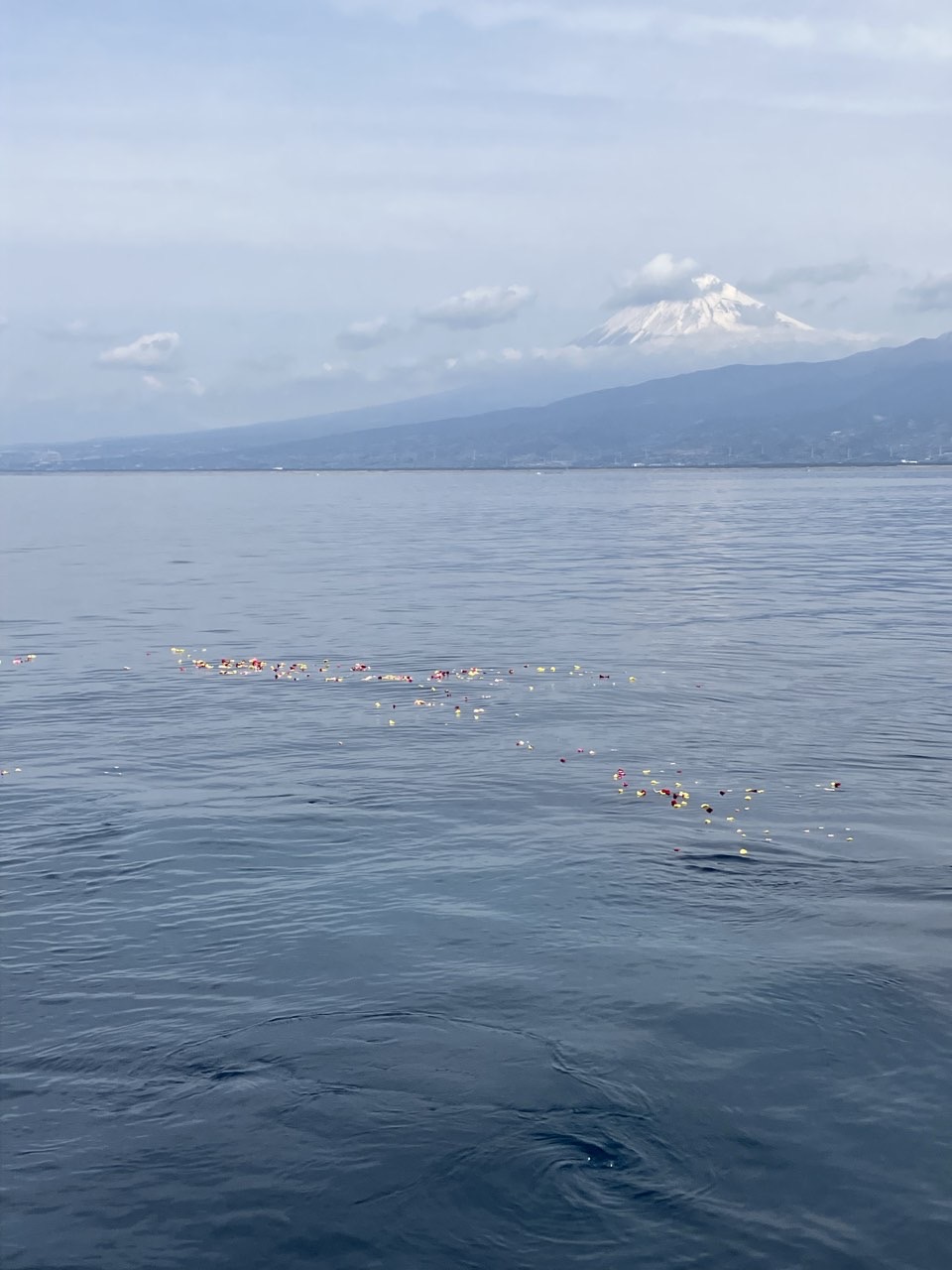 沼津沖にて