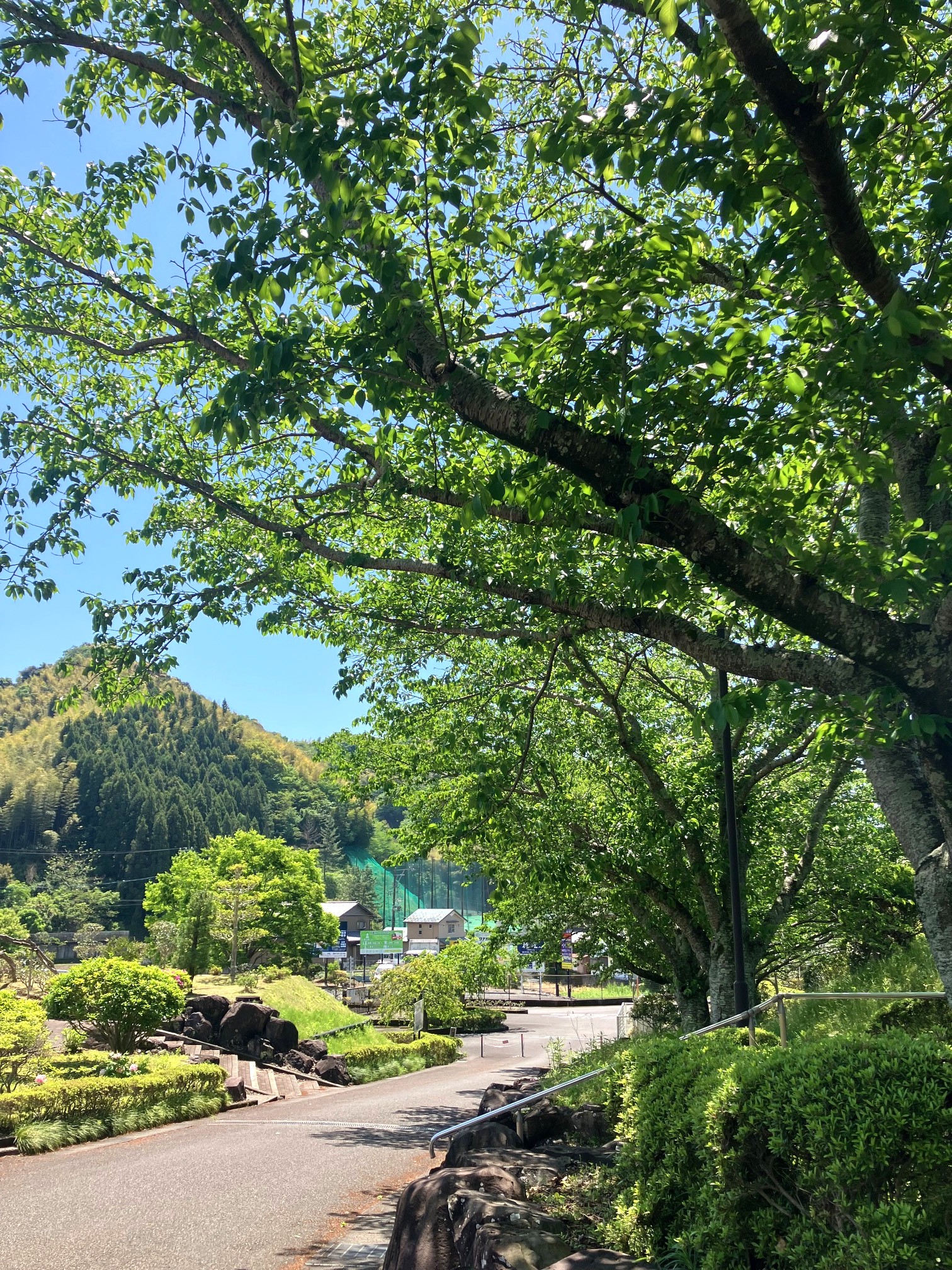 静岡市営霊園