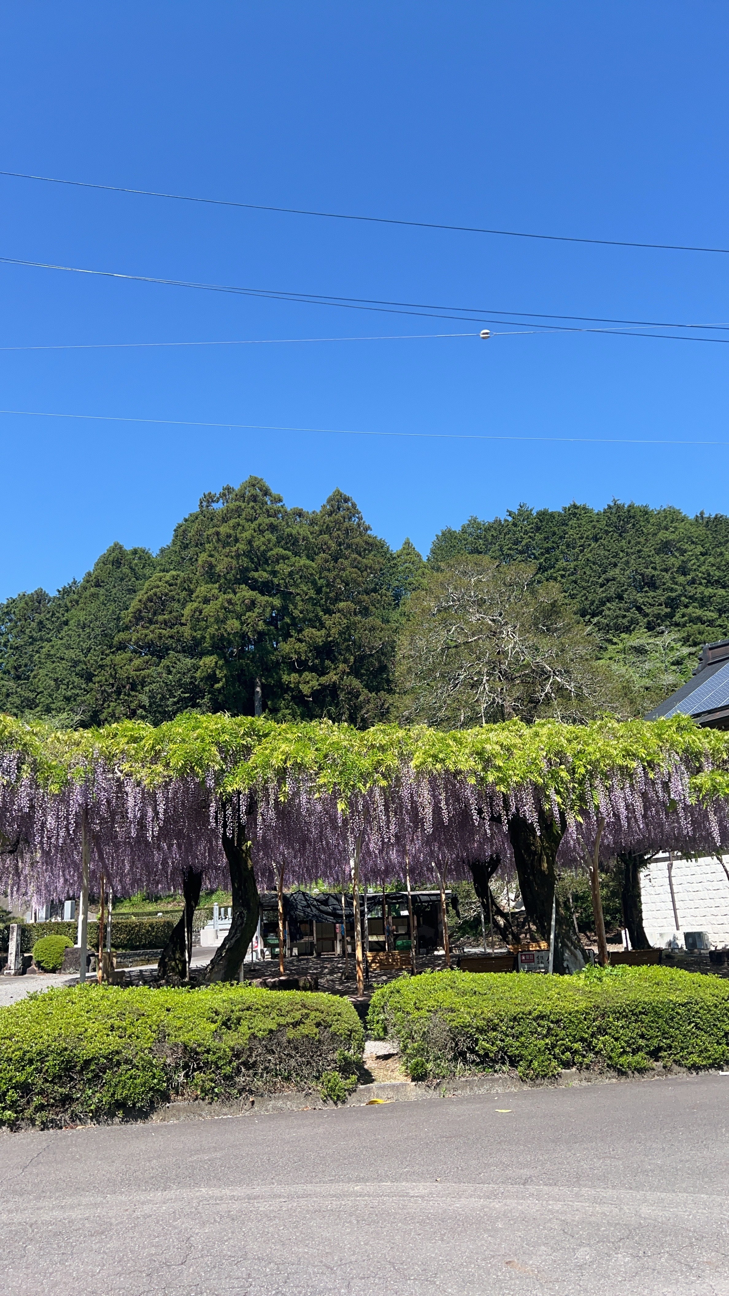 閉眼供養って？？気になりますよね