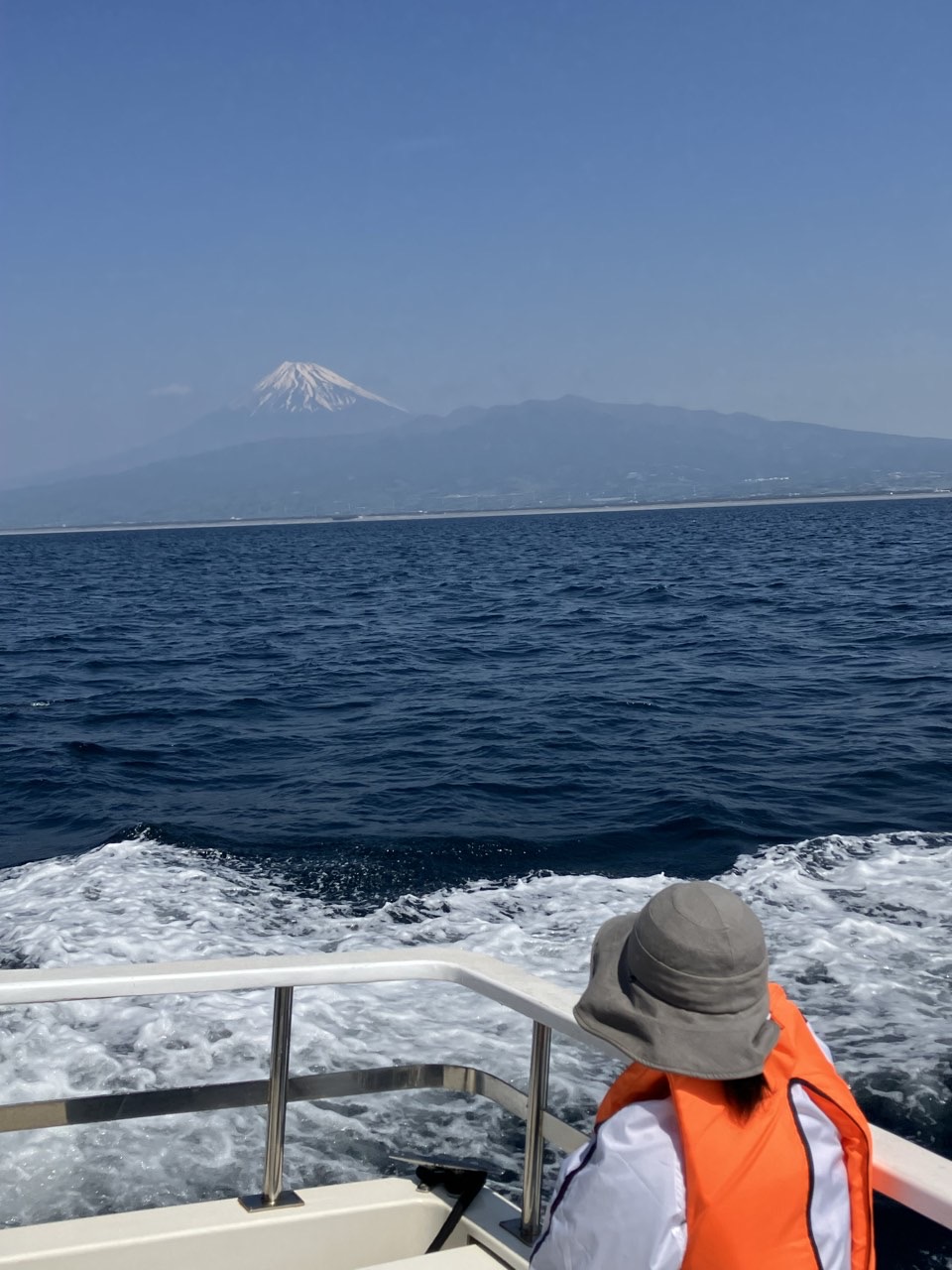 海洋散骨のご依頼増えています
