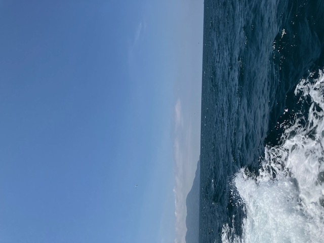 海洋散骨のご依頼増えています