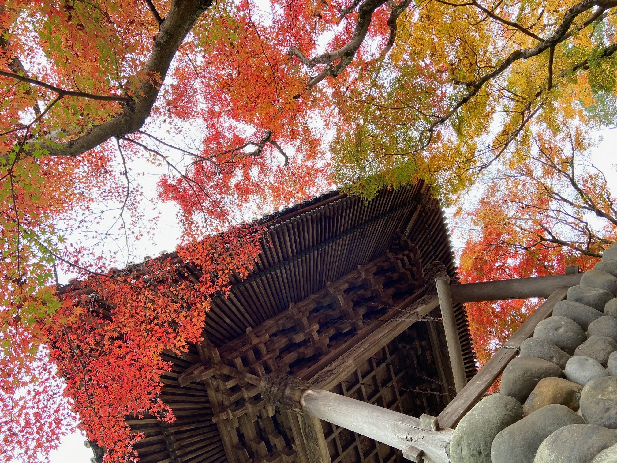 秋の香り