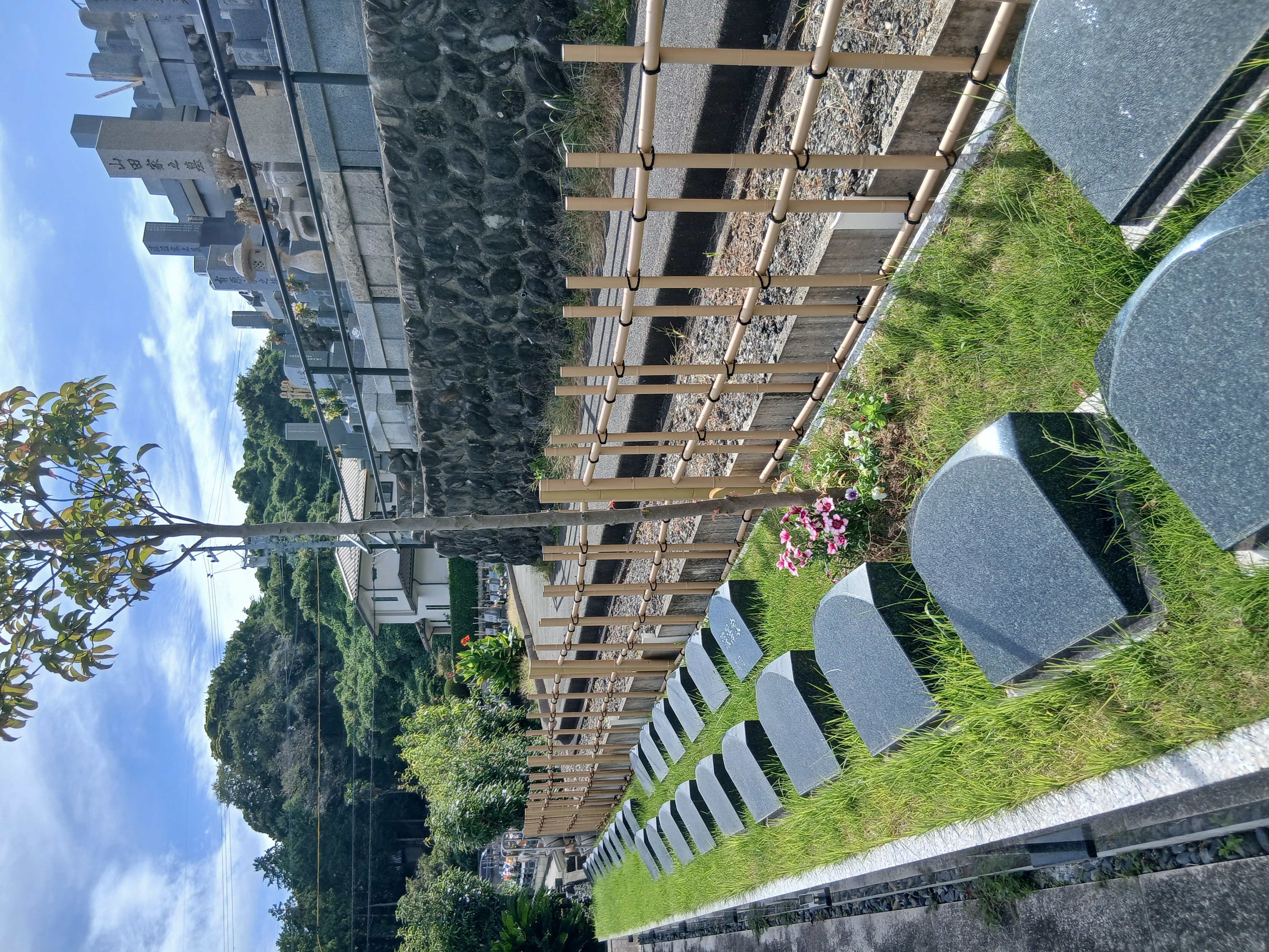 風のメロディー