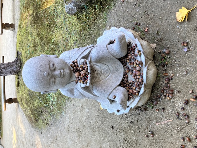 秋を満喫してきました。