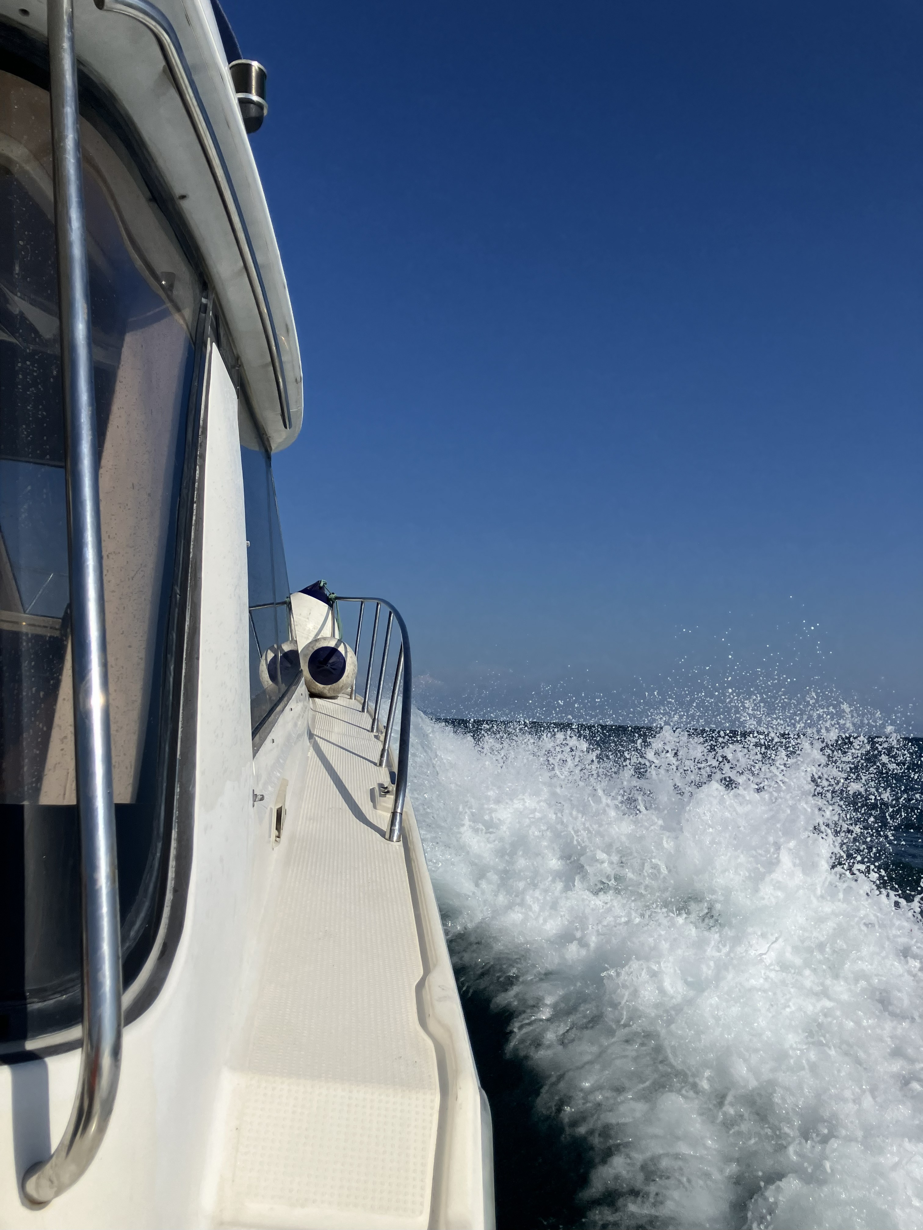 海洋散骨体験会