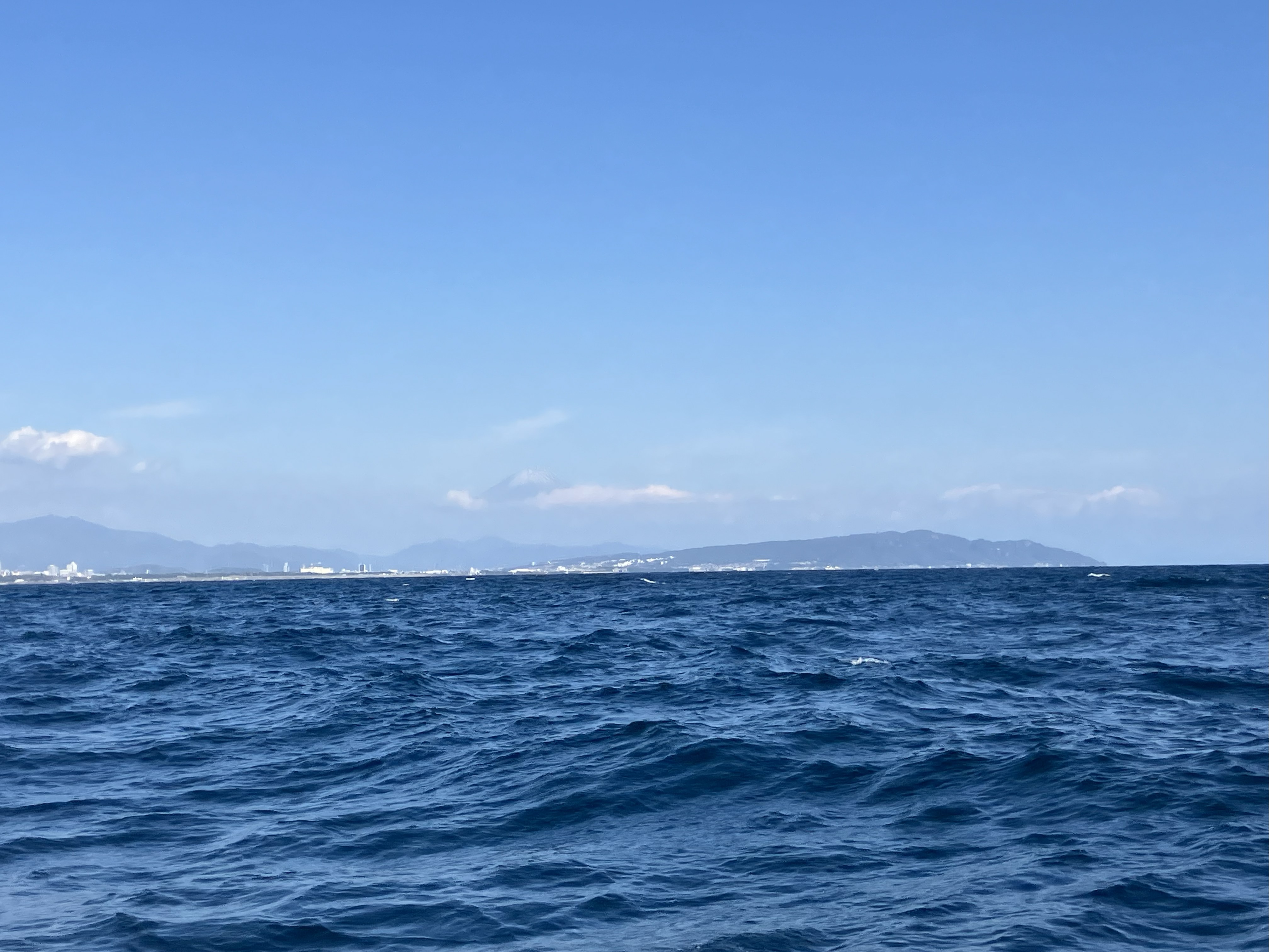 海洋散骨体験会