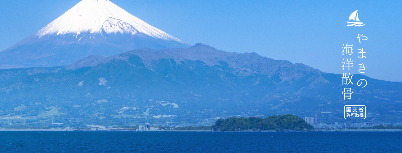 本年を振り返って