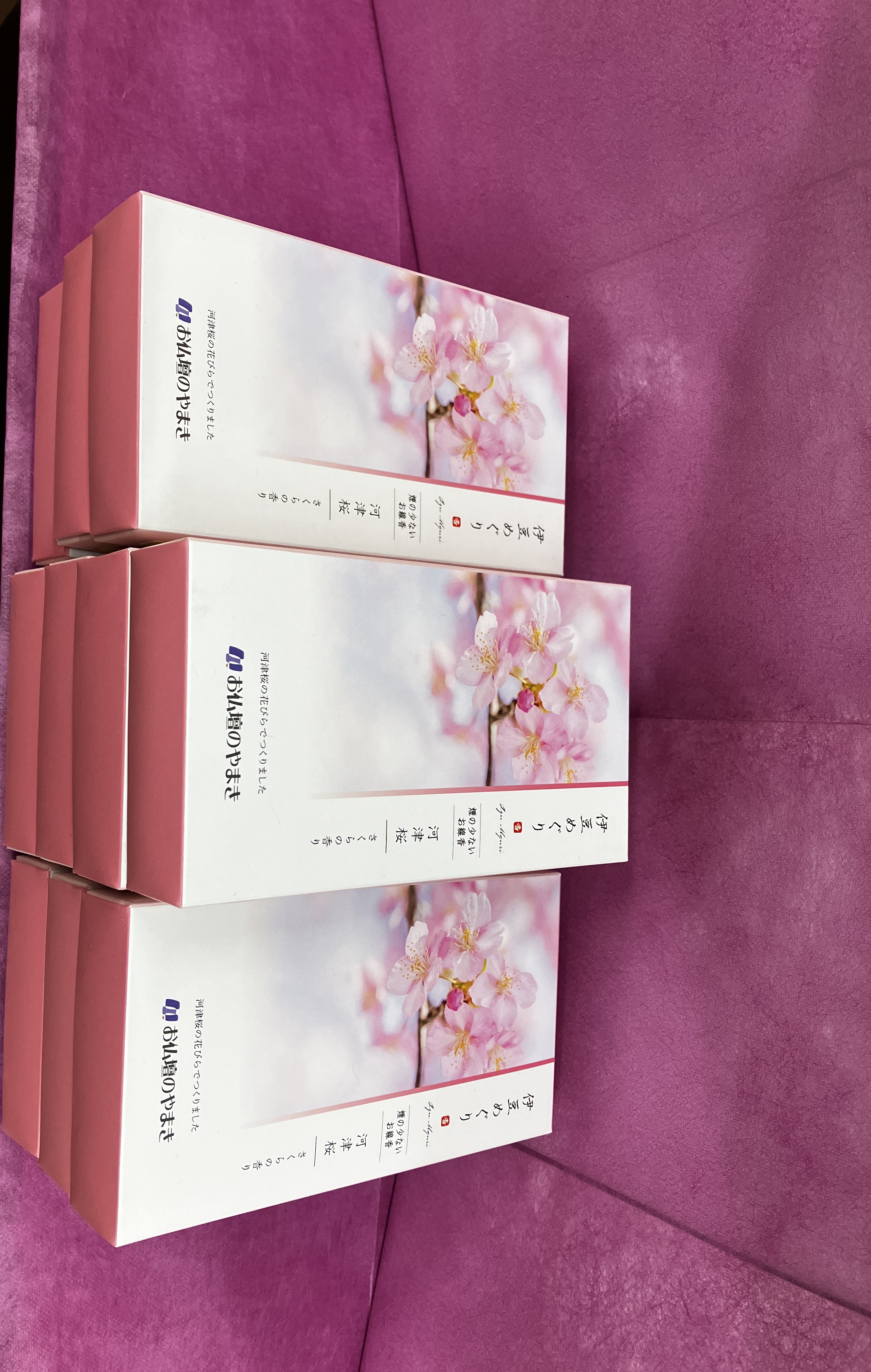 第36回 河津桜まつり