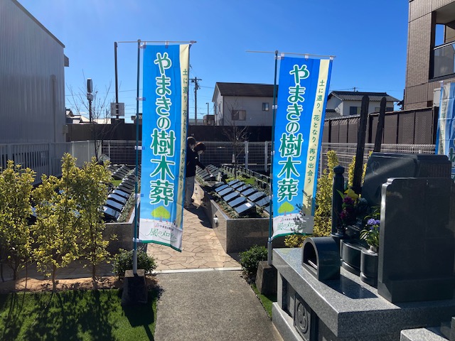 一般墓に比べて樹木葬の割合は？