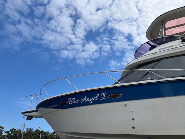 沼津での海洋散骨