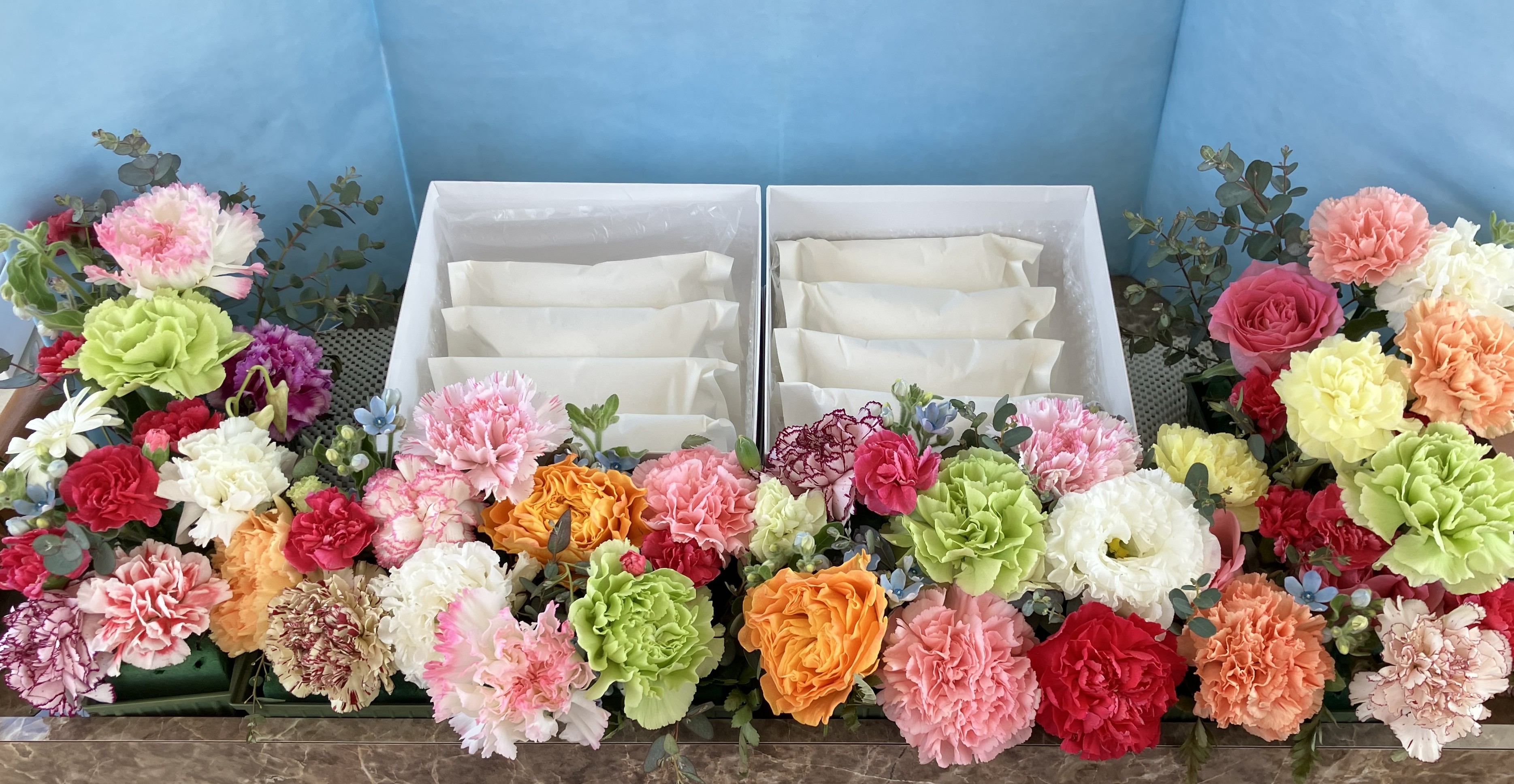 今月の海洋散骨