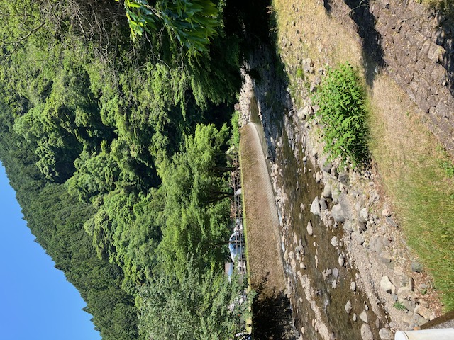 キャンプ場