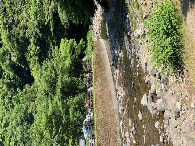 キャンプ場