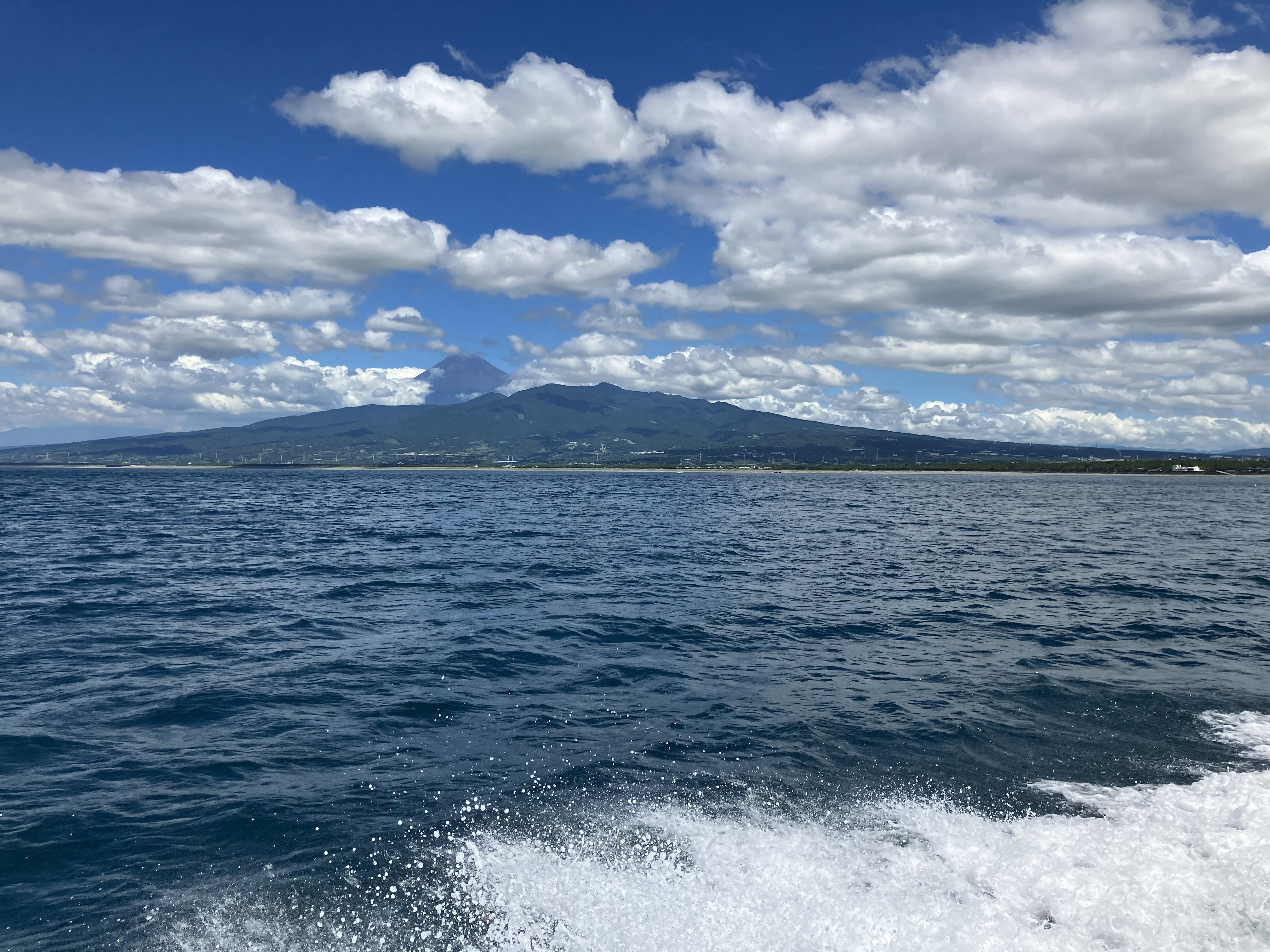 今月の海洋散骨