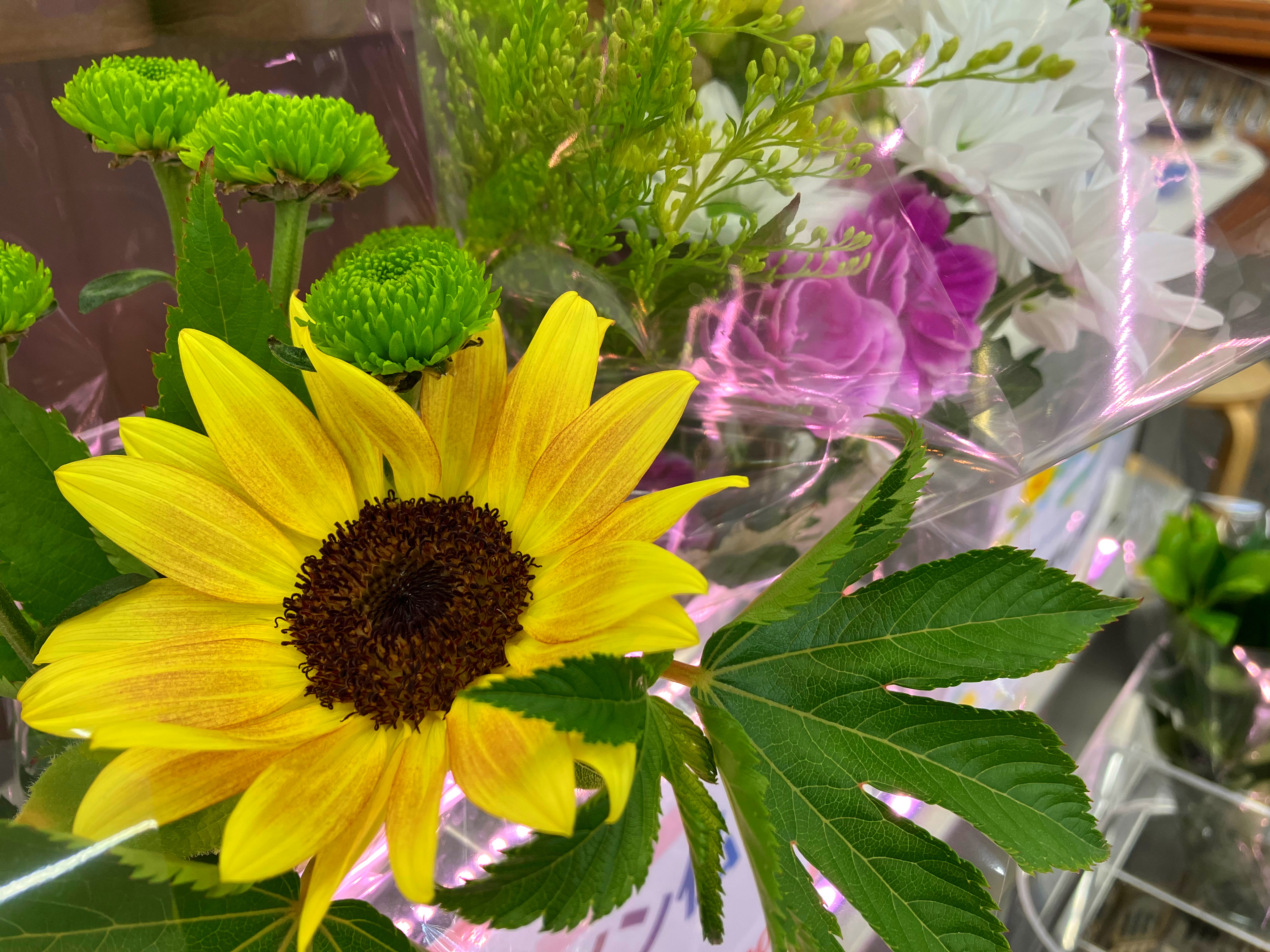 やまきの生花
