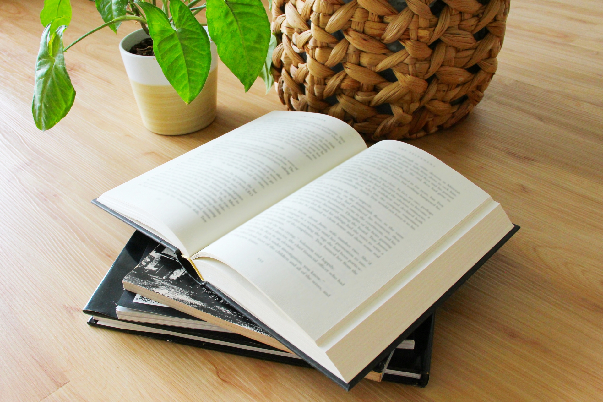 夏休みの読書で考えたこと