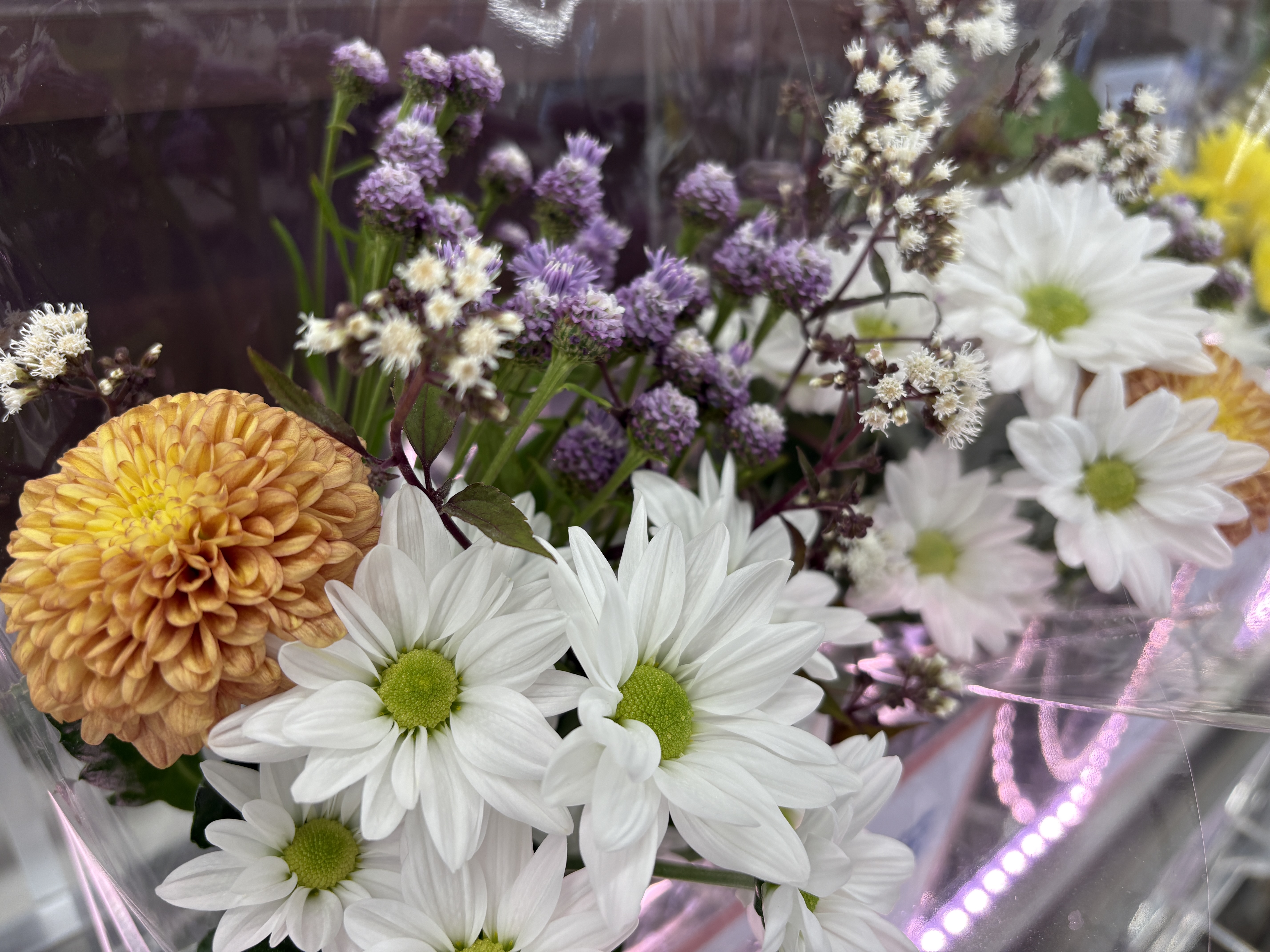 やまきの生花
