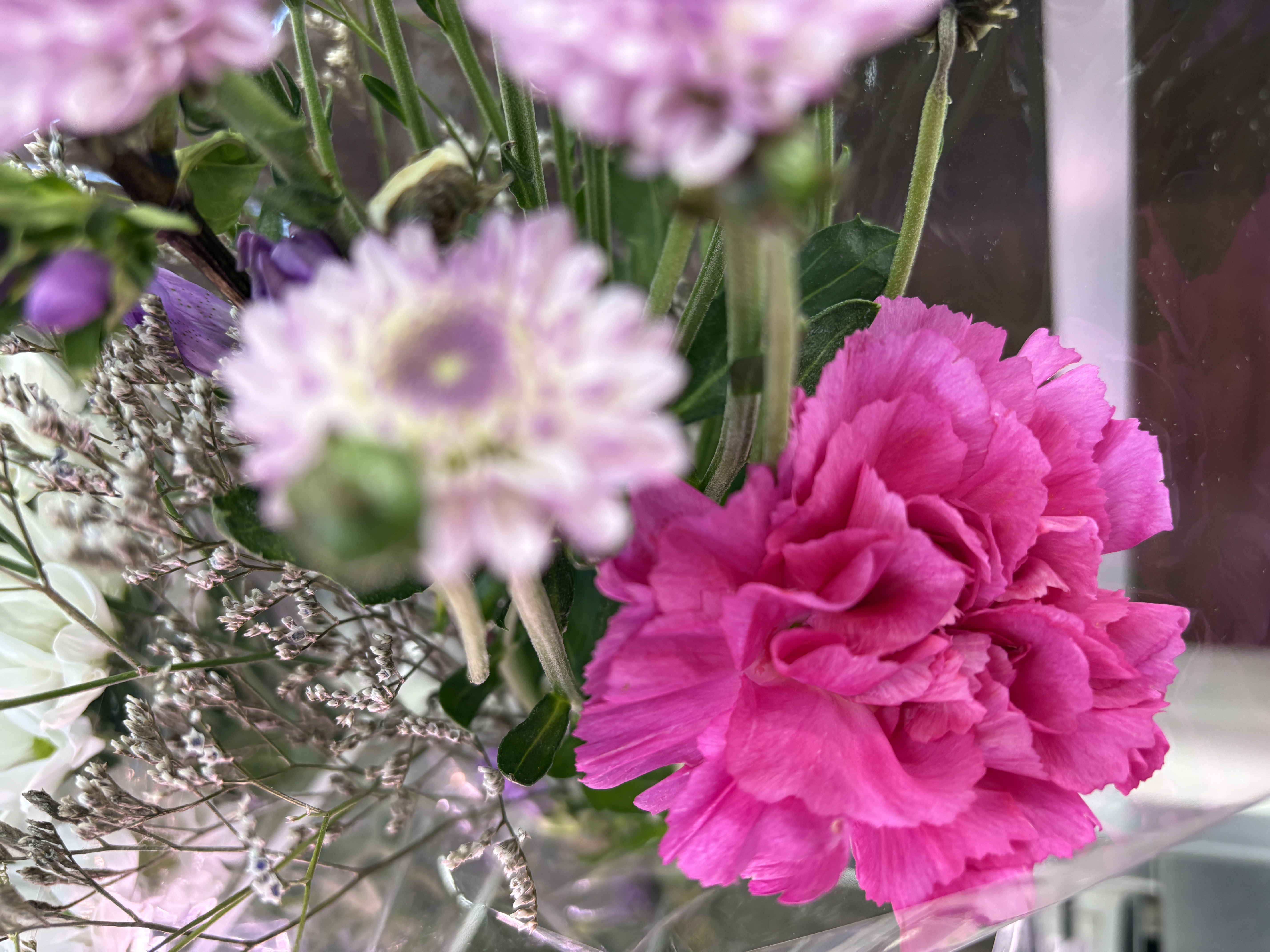 やまきの生花