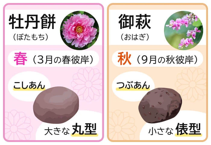 「おはぎ」と「ぼたもち」の違いは❓