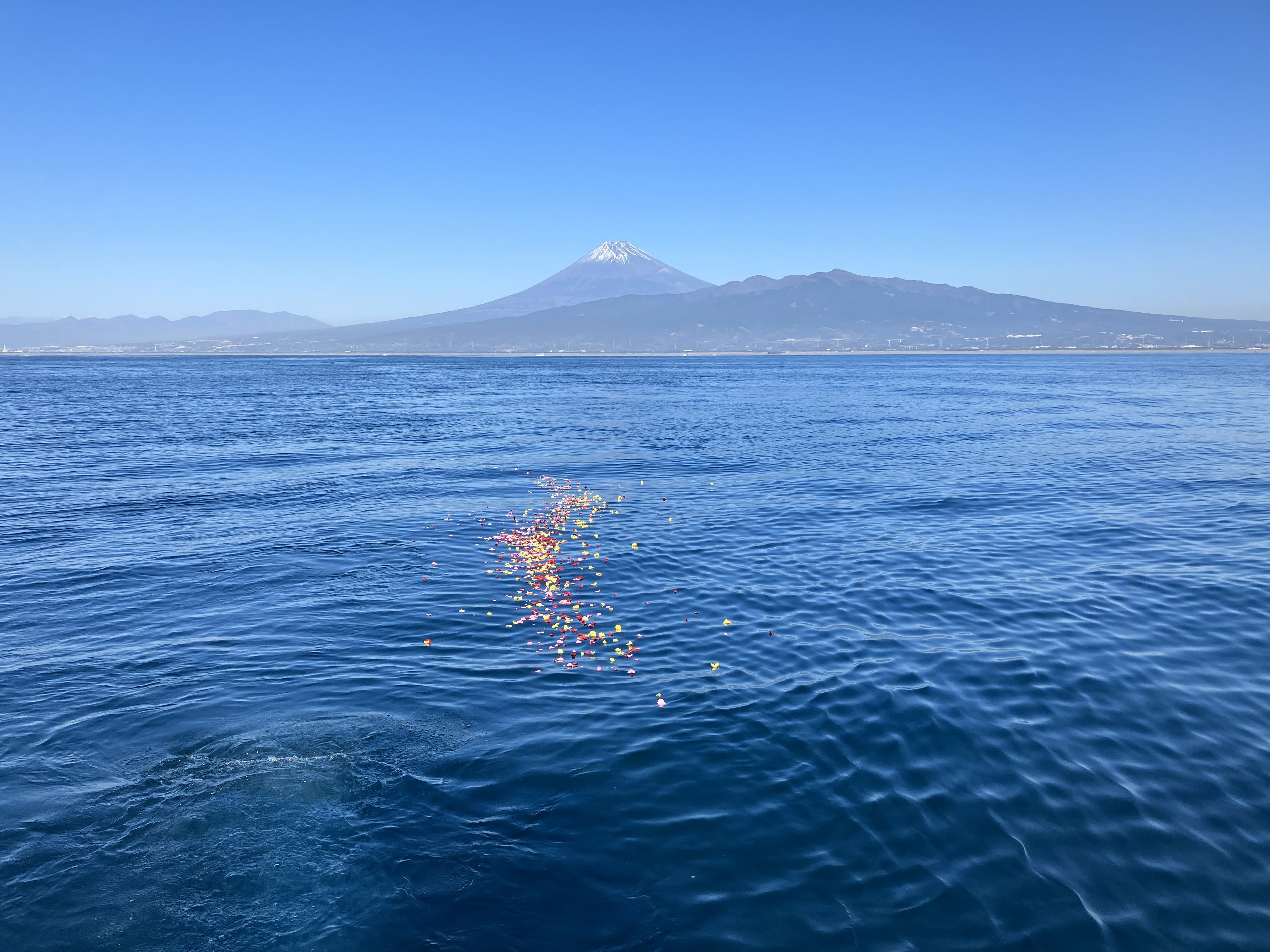 海洋散骨キャンペーン
