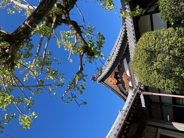 秋晴れ