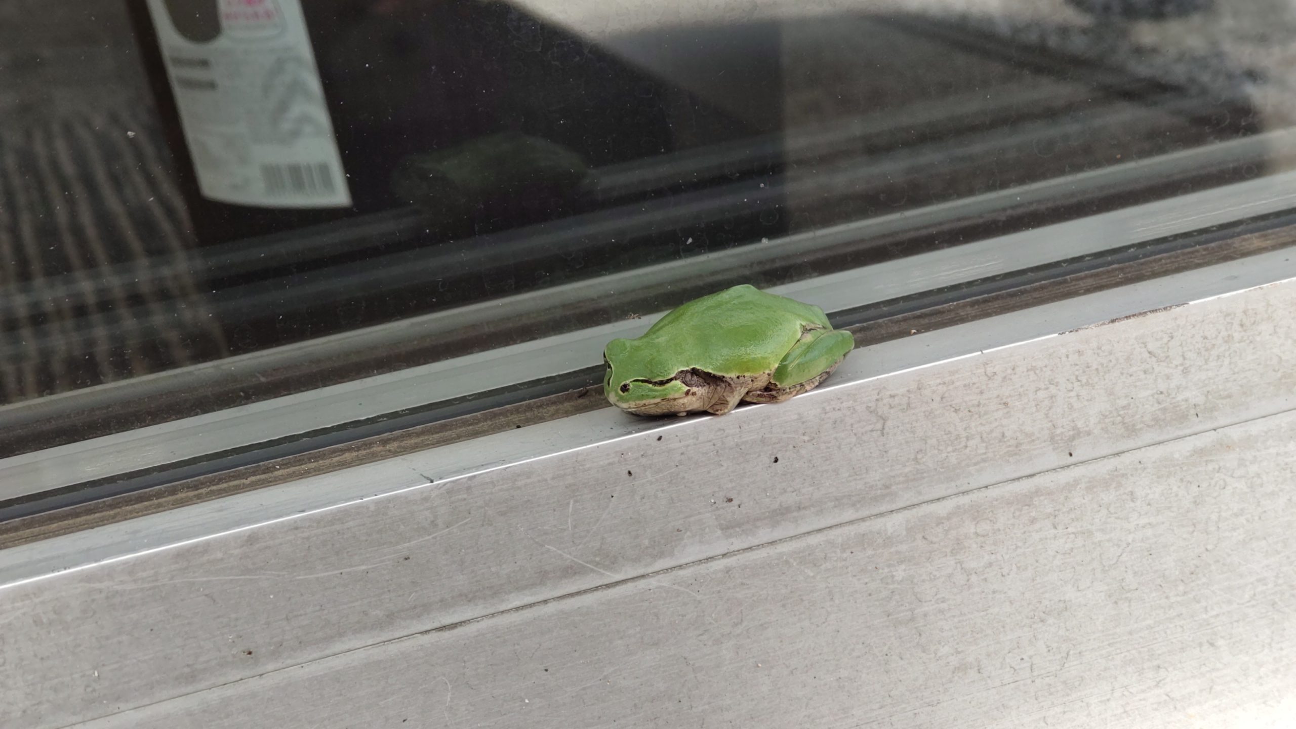 浜松店にてお待ちしています。