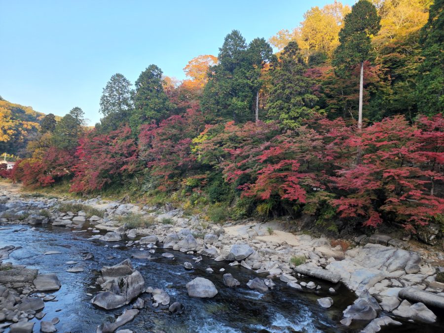 香嵐渓の紅葉