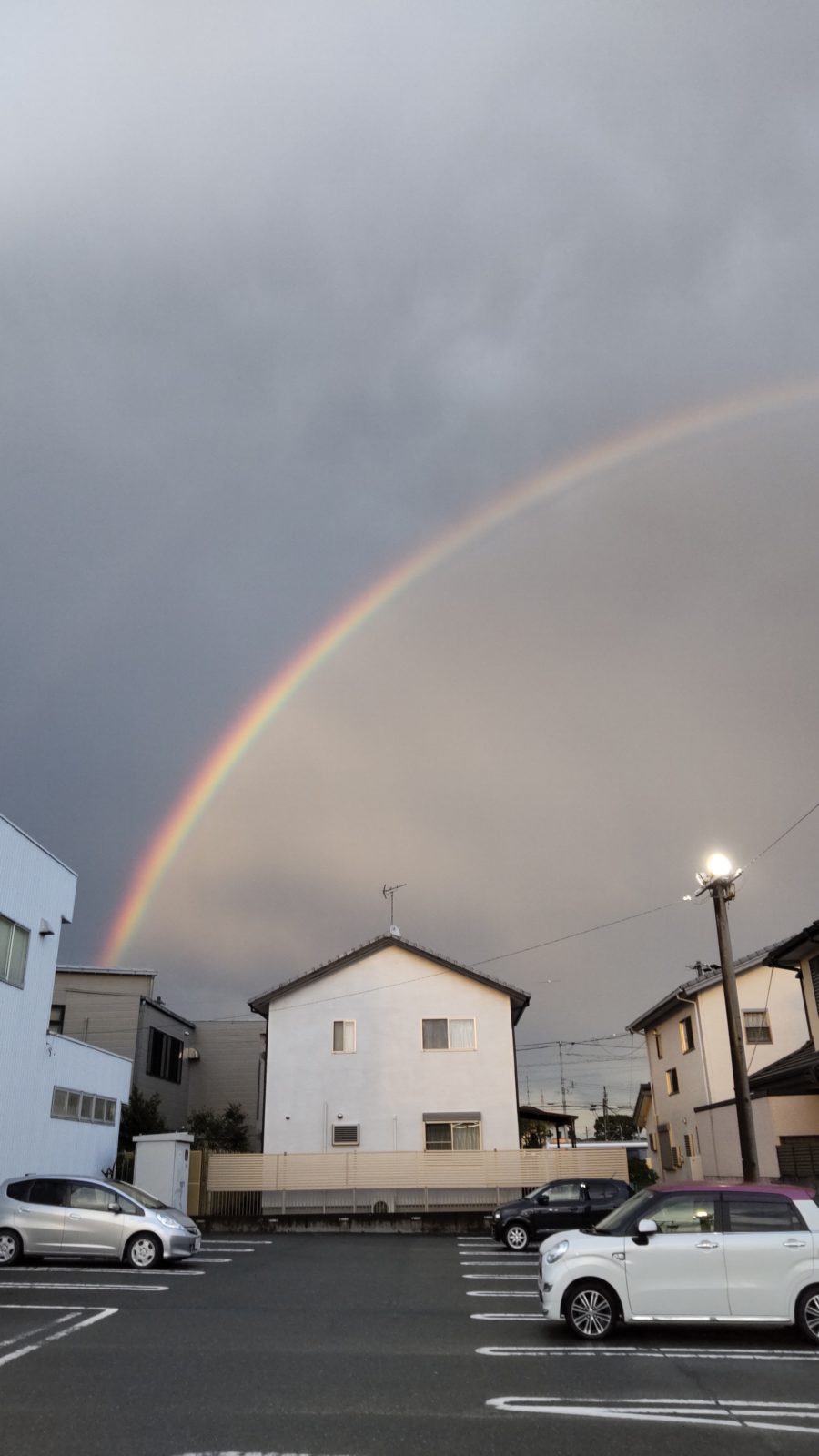 ????きれいでした。