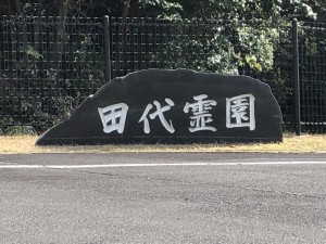 気になりまして・・・