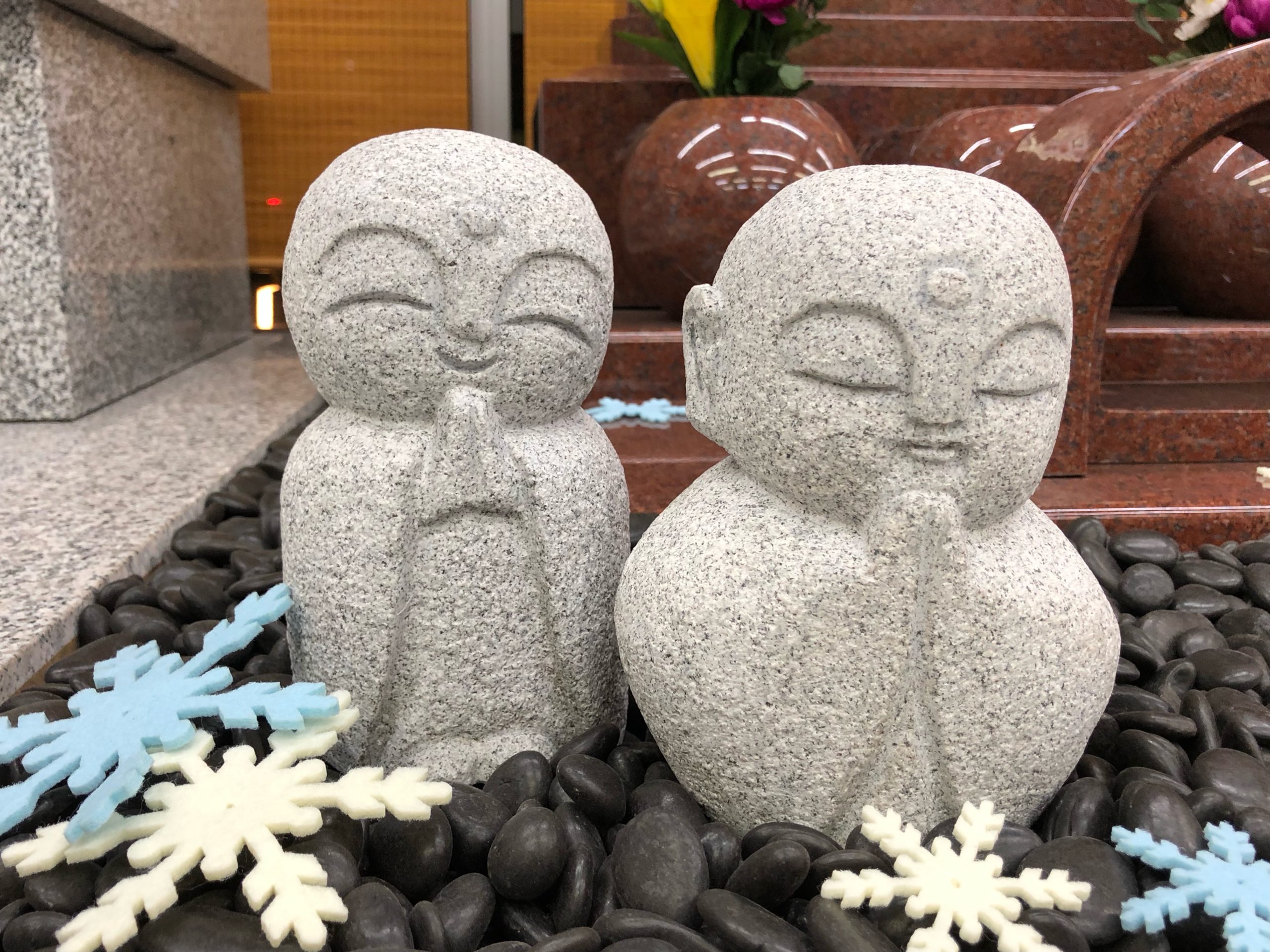 新しい仲間です。