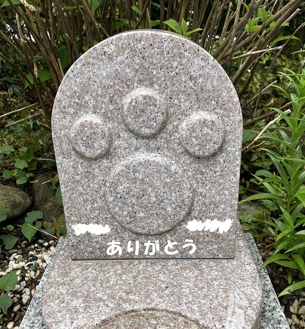 着色に挑戦