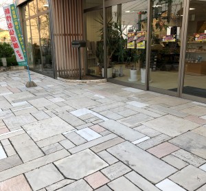 化石がいっぱい