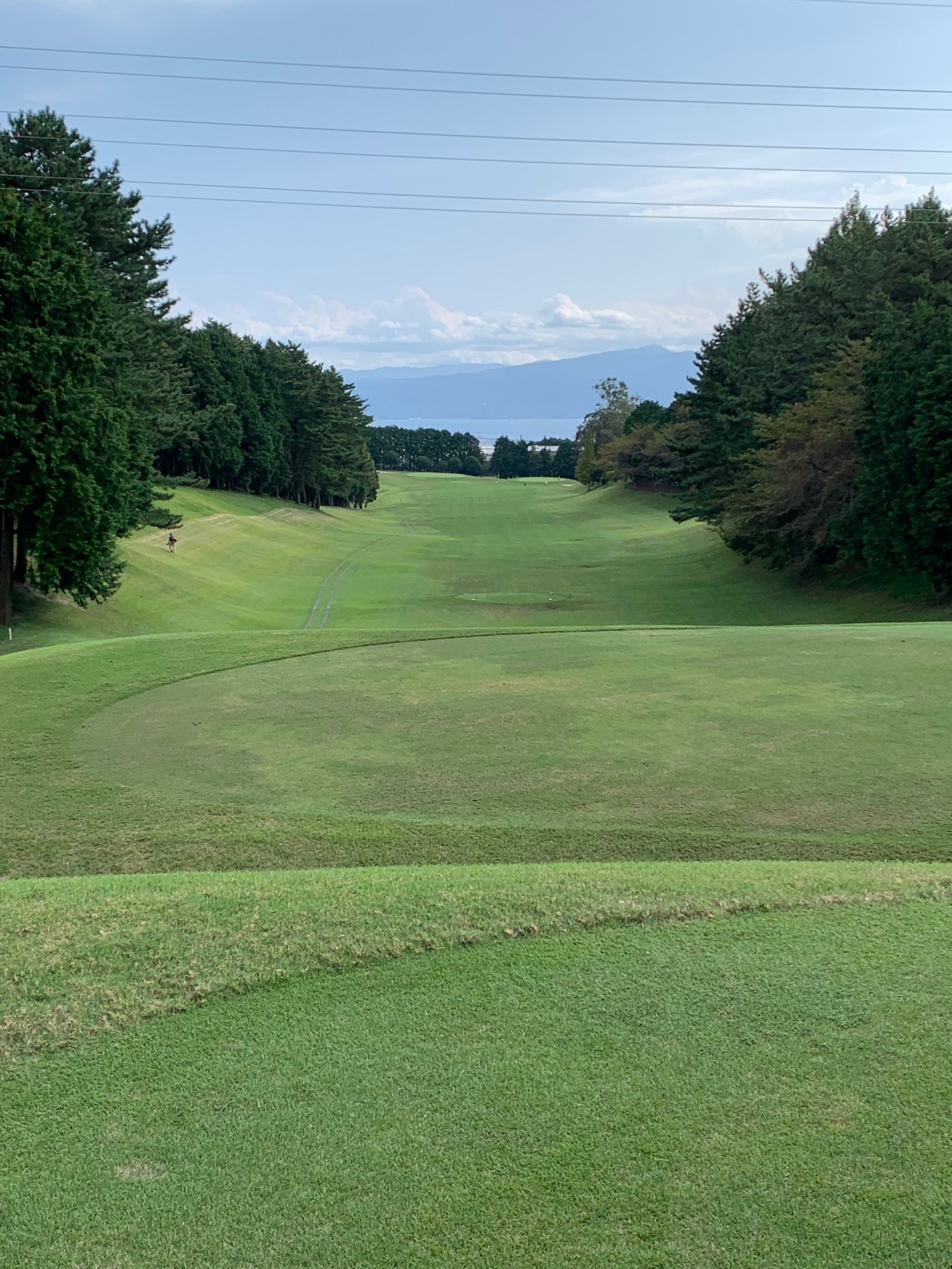 今年も終わりですね