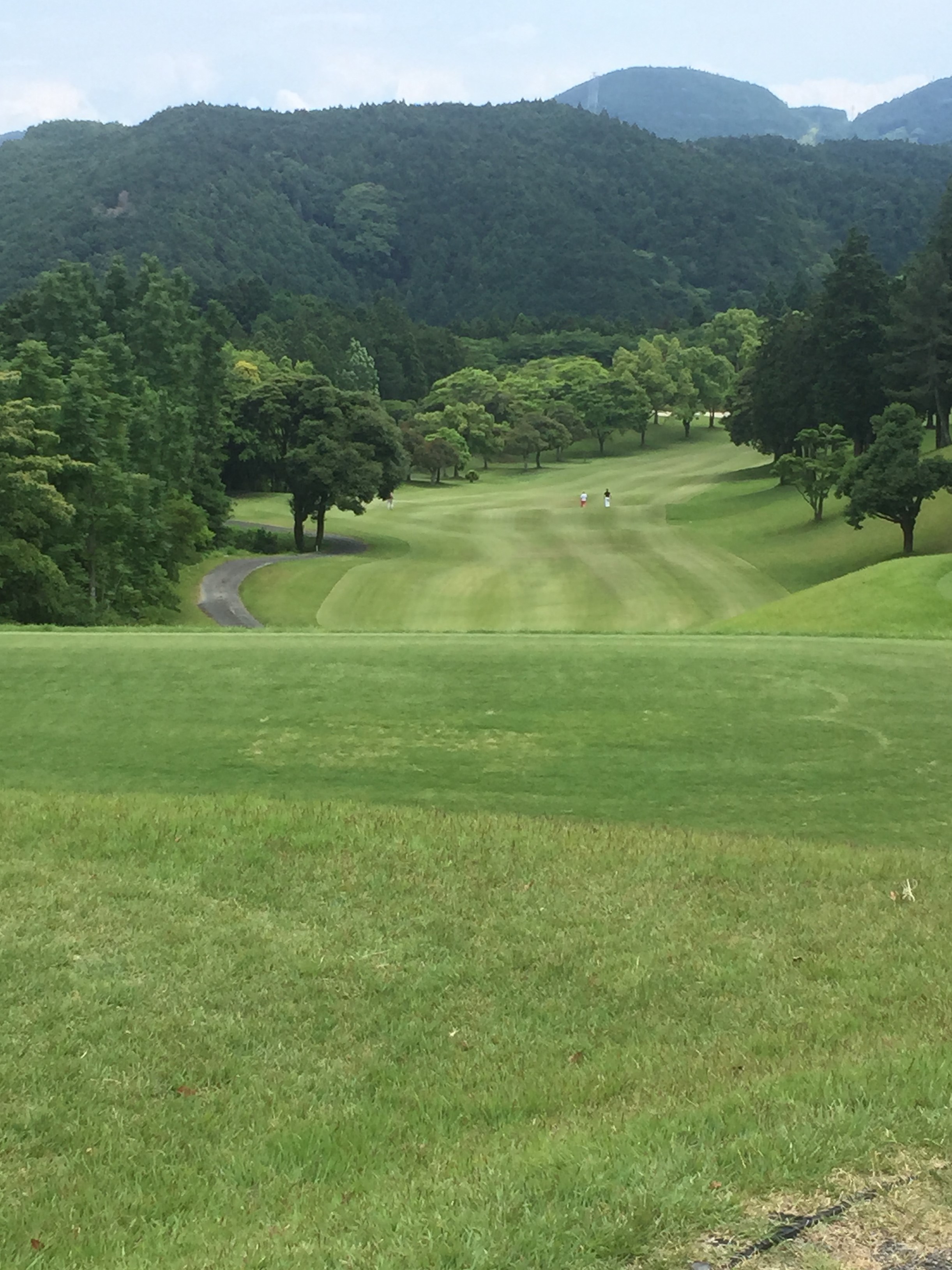 6月腹黒 (2)