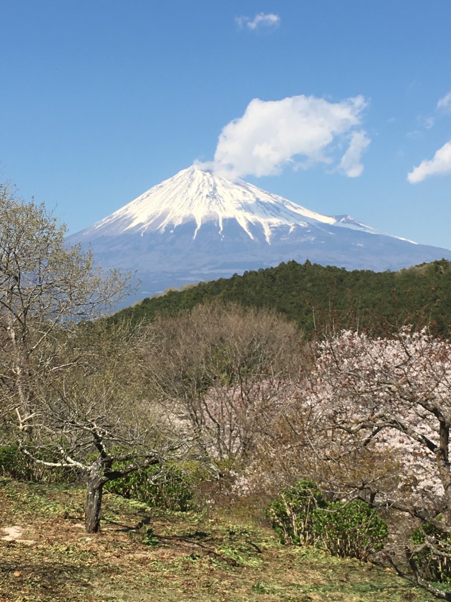 富士山