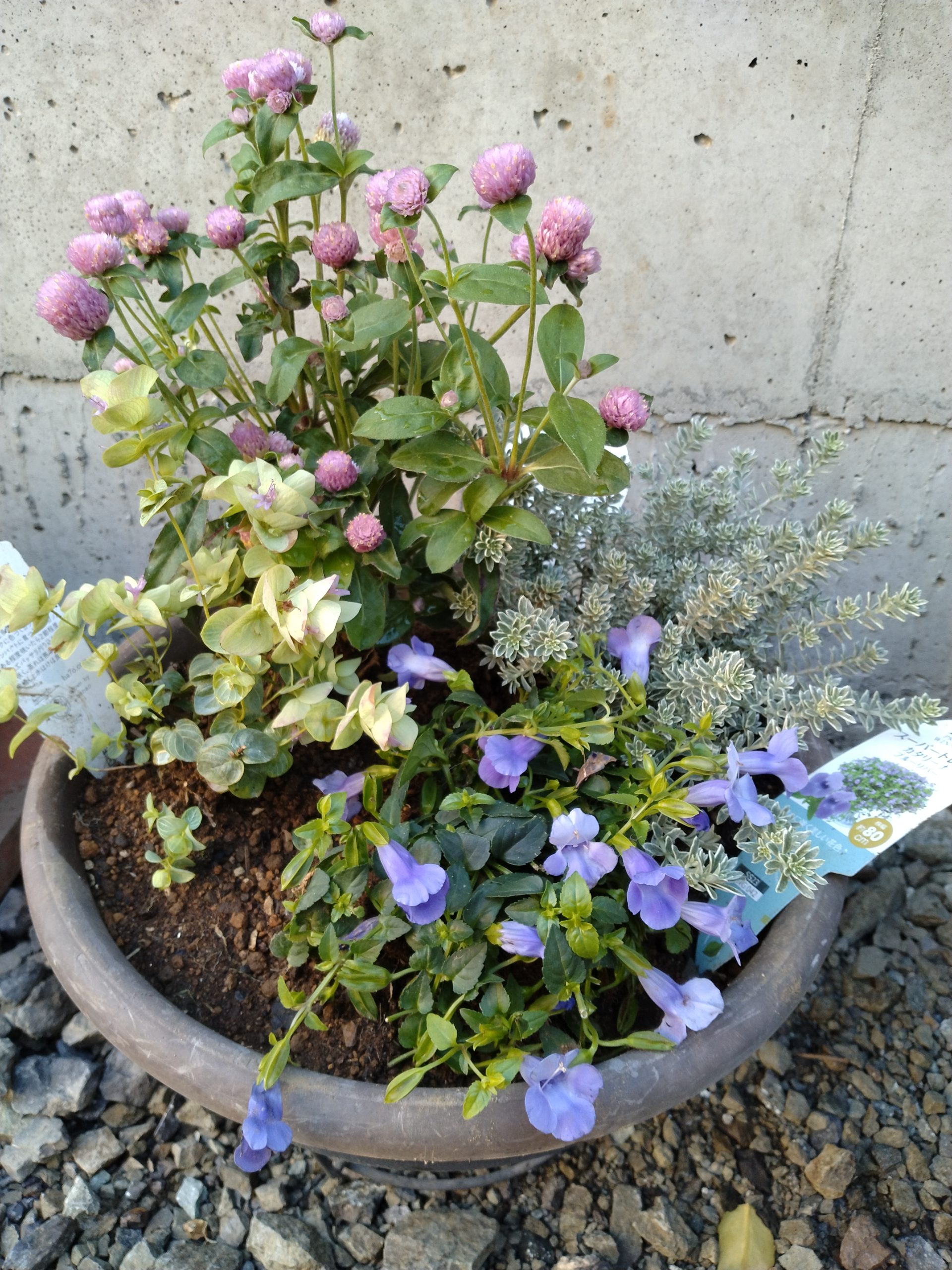 お花のある暮らし