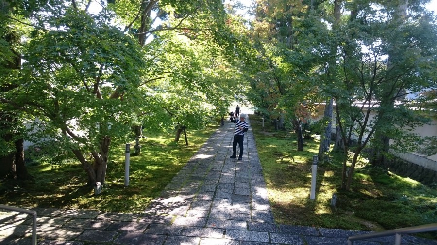 山々に囲まれたお寺