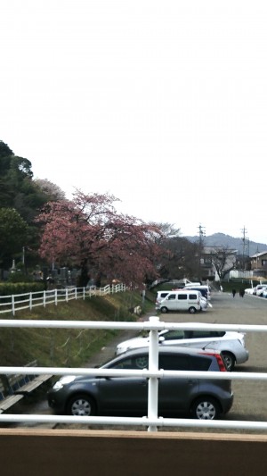 お墓参り