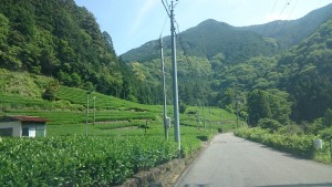 静岡市葵区井川の仕事