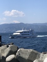 ⛴離島への納品