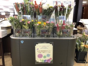 お花定期コース