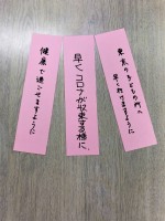 今日は七夕ですね。